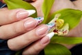 Hand with long artificial french manicured nails holding an orchid flower Royalty Free Stock Photo