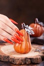 Hand with long artificial manicured nails colored with orange nail polish and pumpkin