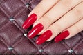 Hand with long artificial manicured nails Royalty Free Stock Photo