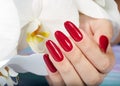 Hand with long artificial manicured nails and orchid flower Royalty Free Stock Photo