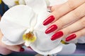 Hand with long artificial manicured nails and orchid flower Royalty Free Stock Photo