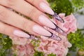 Hand with long artificial purple french manicured nails decorated with rhinestones and pink rose flowers