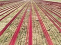 Hand loom silk threads spread out to dry in the sun on a bright, sunny day Royalty Free Stock Photo