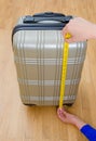 Hand luggage. Royalty Free Stock Photo
