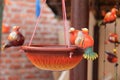 Hand made colorful bird feeder