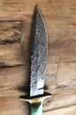Hand Made Damascus hunting knife and sheath Royalty Free Stock Photo