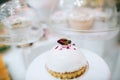 Hand made delicious cakes with bud roses, decorated at a wedding dessert table. Idea Royalty Free Stock Photo