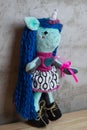 Hand made Doll and clothes toy Royalty Free Stock Photo