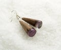 Earrings with Wood and Crystal Royalty Free Stock Photo