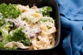 hand made fettucine alfredo primavera Royalty Free Stock Photo