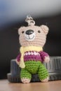 Hand made key ring brown teddy bear knitted doll wearing a violet and white shirt and green plant Royalty Free Stock Photo