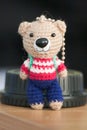 Hand made key ring brown teddy bear knitted doll wearing a violet and white shirt and green plant