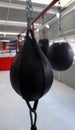 Black boxing pears