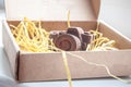 Hand made noname nobrand chocolate camera Royalty Free Stock Photo