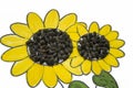 Hand-made picture of lovely sunflower. Painted with yellow and green gouache and glued black seeds. Art on the white background Royalty Free Stock Photo