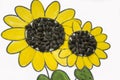 Hand-made picture of lovely sunflower. Painted with yellow and green gouache and glued black seeds. Art on the white background Royalty Free Stock Photo