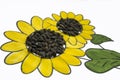 Hand-made picture of lovely sunflower. Painted with yellow and green gouache and glued black seeds. Art on the white background Royalty Free Stock Photo