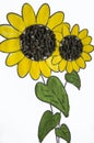 Hand-made picture of lovely sunflower. Painted with yellow and green gouache and glued black seeds. Art on the white background Royalty Free Stock Photo