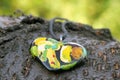 Hand made polymer clay heart pendant