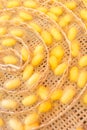 Hand Made Silk Process:cocoon silkworm