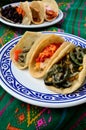 Mexican tacos, cochinita pibil tacos, hand made tortilla tacos