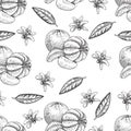 Hand made vector seamless sketch of mandarins in vintage style.