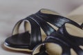 Hand-made womens dance shoes made of genuine leather on the wooden surface Royalty Free Stock Photo