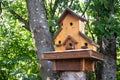 Hand made wooden shelter, bird house, placed on the tree in forest Royalty Free Stock Photo