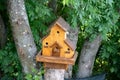 Hand made wooden shelter, bird house, placed on the tree in forest Royalty Free Stock Photo