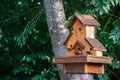 Hand made wooden shelter, bird house, placed on the tree in forest Royalty Free Stock Photo