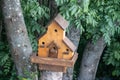 Hand made wooden shelter, bird house, placed on the tree in forest Royalty Free Stock Photo