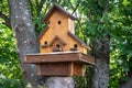 Hand made wooden shelter, bird house, placed on the tree in forest Royalty Free Stock Photo