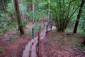 Hand-made wooden steps leading to the forest Royalty Free Stock Photo