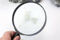 Hand with magnifying glass examines asbestos Royalty Free Stock Photo