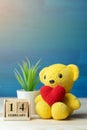 Hand make yarn red heart put on yellow teddy bear beside wooden block calendar set on Valentines date 14 February in front of whit Royalty Free Stock Photo