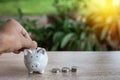 Hand of a male holding a coin for putting to a white piggy bank. Money saving concept investment budget wealth business retirement Royalty Free Stock Photo