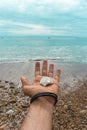 Hand Male Holding a Seashell