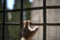 Hand of a male from a window of a Jail