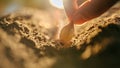 Hand of man farmer seeding onions in organic vegetable garden, Royalty Free Stock Photo