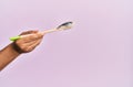Hand of man holding bass nigiri with chopsticks over isolated pink background