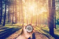 Hand man holding compass at larch forest with sunlight