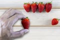 Hand man holding fresh strawberrie with fresh strawberries on wood table background with copy space for text or design