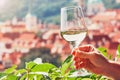 Glass of white wine Royalty Free Stock Photo