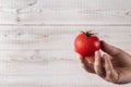 Hand of a man holding a red and fresh tomato. raw wet vegetable with water droplets. template for advertising with copy space Royalty Free Stock Photo