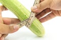 Hand man measuring size of long cucumber
