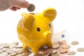 hand of man putting euro coin under yellow piggy bank Royalty Free Stock Photo