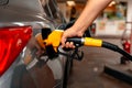 Hand Man Refill and filling Oil Gas Fuel at station. Gun petrol in the tank to fill. Fuel business Royalty Free Stock Photo