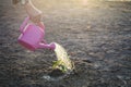 Hand of a man watering little green plant on cracked dry ground Royalty Free Stock Photo