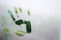 Hand mark on condensation glass of window, right handprint with raindrops on window with blurred background. Royalty Free Stock Photo