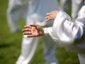 hand of martial arts master Tai Chi with followers Royalty Free Stock Photo